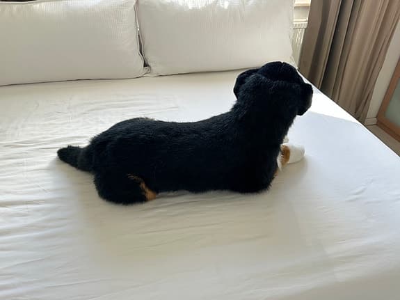 Stort hund gosedjur mjukisdjur Berner Sennenhund realistiskt verklighetstroget