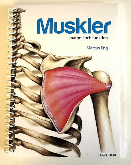 Muskler – anatomi och funktion lärobok inom medicin och hälsa