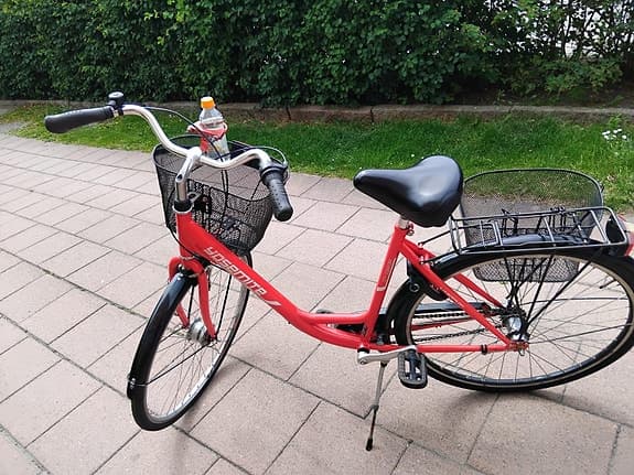 En fin damcykel