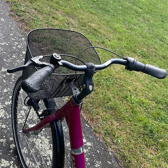 Sjösala Petronella damcykel 28 tum – 3 växlad