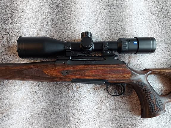 Sauer 101 GTI (.308 Win) /Tikka T1x (.22 LR)