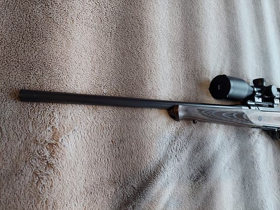 Sauer 101 GTI (.308 Win) /Tikka T1x (.22 LR)