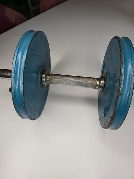 Vintage Tullgarn hantel i gjutjärn – 10 kg (skruvbar)