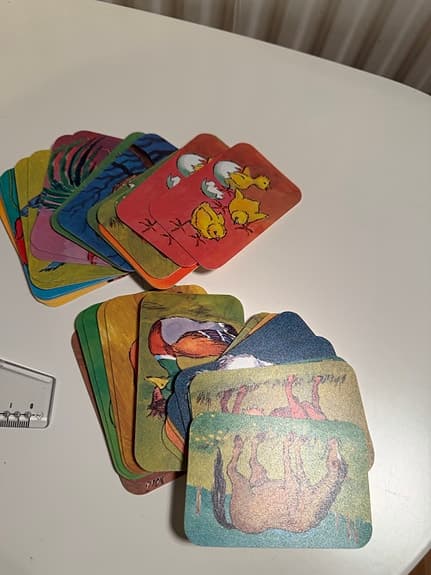 Vintage Bogi Dyrenes Lyde Ljudspel – Djurkort & Kassett Danmark