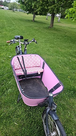 Babboe City Mountain el-lådcykel - välservad, stark mittmotor, kapell ingår