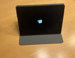 Apple iPad Pro 10,5 256 GB grå