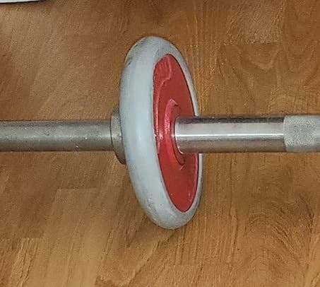 Skivstång