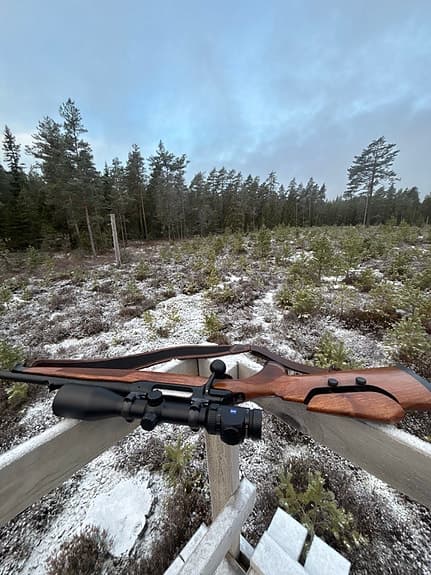 Sauer 202 Jaguar Nordic 30 06
