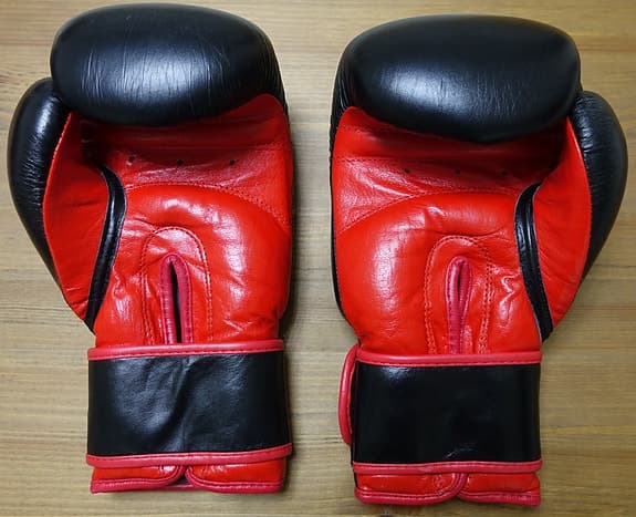 Boxningshandskar, Top Rank Equipment, 16 oz, mycket bra skick!