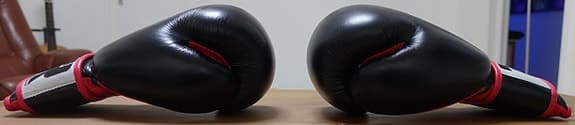 Boxningshandskar, Top Rank Equipment, 16 oz, mycket bra skick!