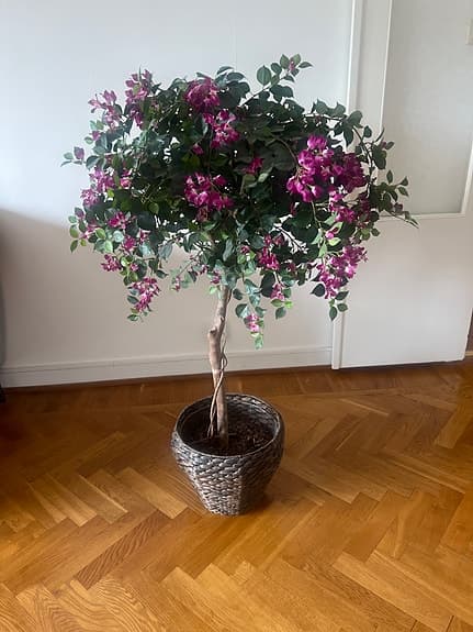Fröken Fräken plast växt