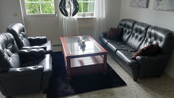 Mörkgrå skinngrupp