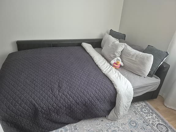 Bäddsoffa Ikea Frihiten läder