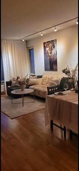 Bäddsoffa Ikea Frihiten läder