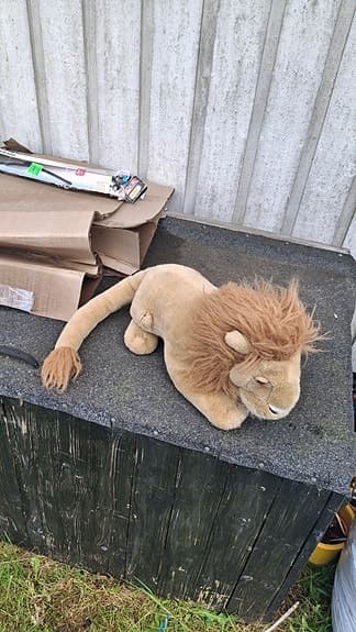 Gosedjur LEJON