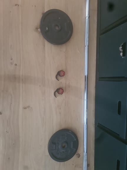 Domyos viktskivor 5 kg med skivstång