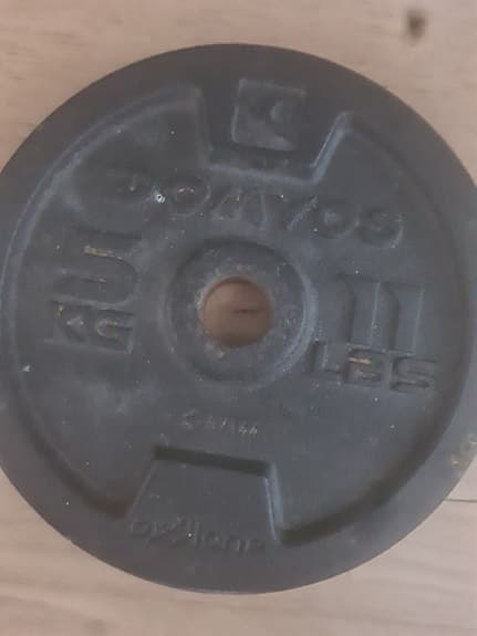 Domyos viktskivor 5 kg med skivstång