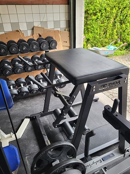 Thor Fitness Reverse Hyper