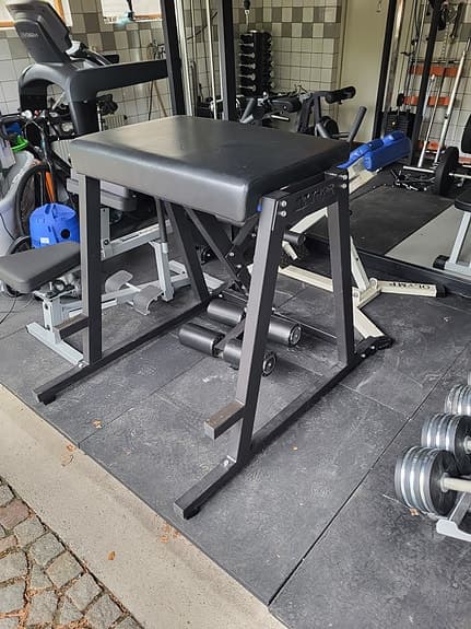 Thor Fitness Reverse Hyper