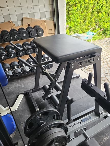 Thor Fitness Reverse Hyper