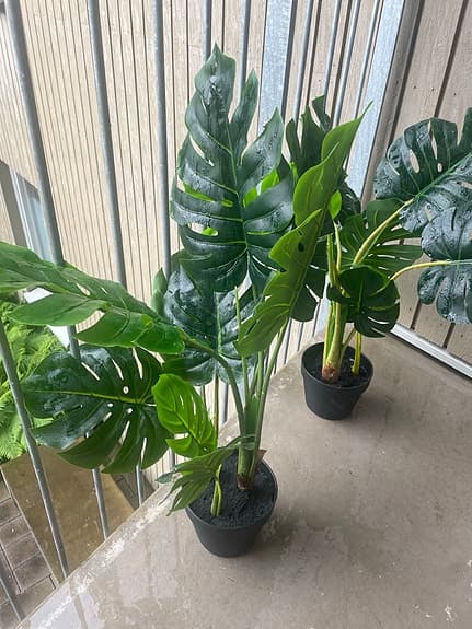 IKEA FEJKA konstgjord Monstera krukväxt 19 cm svart kruka