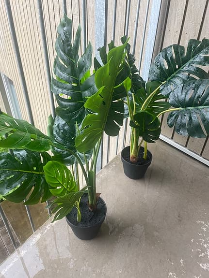 IKEA FEJKA konstgjord Monstera krukväxt 19 cm svart kruka