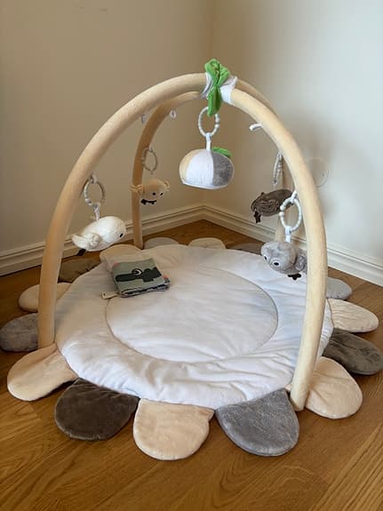 Rätt Start Baby Owls Babygym