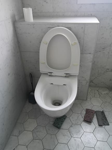 Vägghängd toalettstol med sits och fixtur, Grohe,