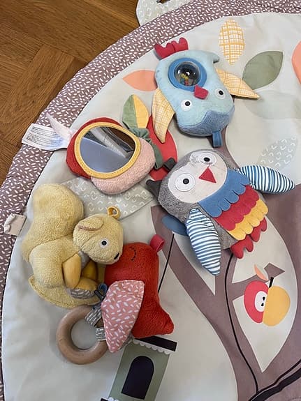 Skip Hop - Babygym