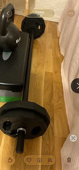 Skivstång