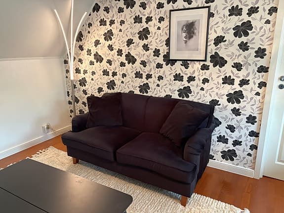 Lyxig och skön sammetssoffa 2-sits