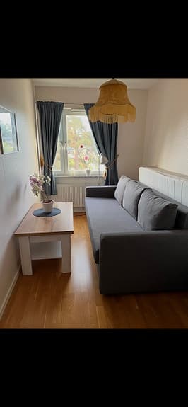 Grå bäddsoffa som ny