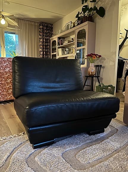 Skinnfåtölj Natuzzi