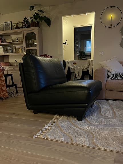 Skinnfåtölj Natuzzi