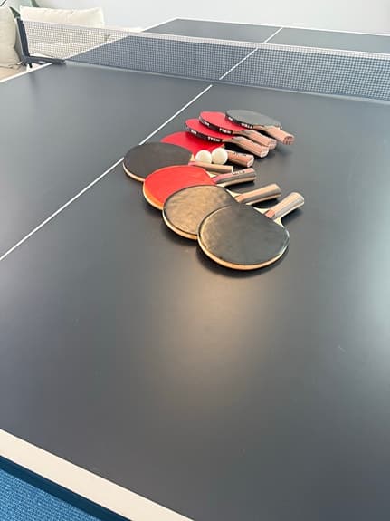 TTEX pingisbord