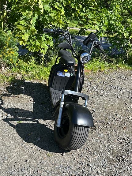 fatbike 2000w med dubbelsäte