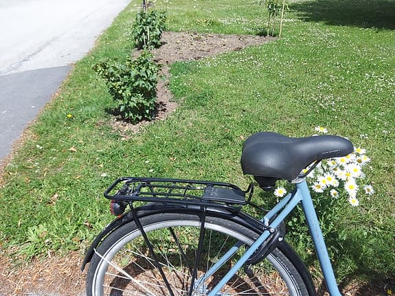 Skeppshult damcykel 54 cm blå