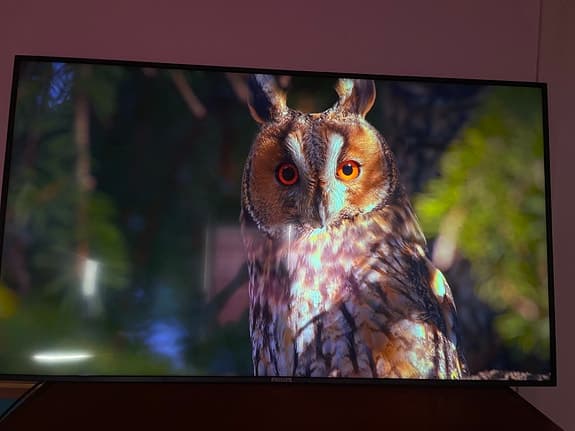 Philips 65" 4K signage tv