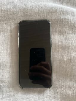 Apple iPhone 15 Pro Max  256 GB svart