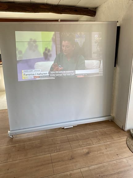 Projektor + Projektorduk