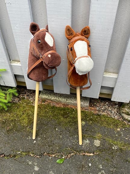 Två käpphästar