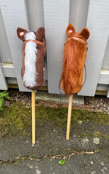 Två käpphästar