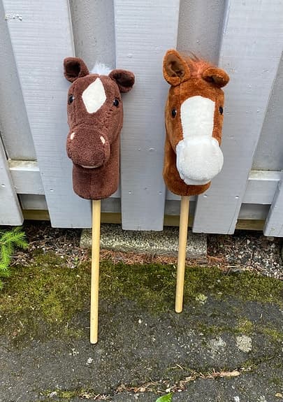 Två käpphästar