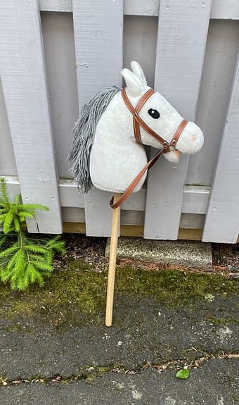 Käpphäst med tillbehör