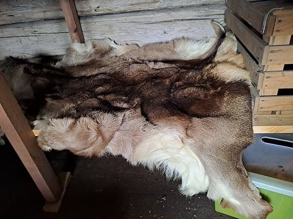 Vildsvinsskinnmatta