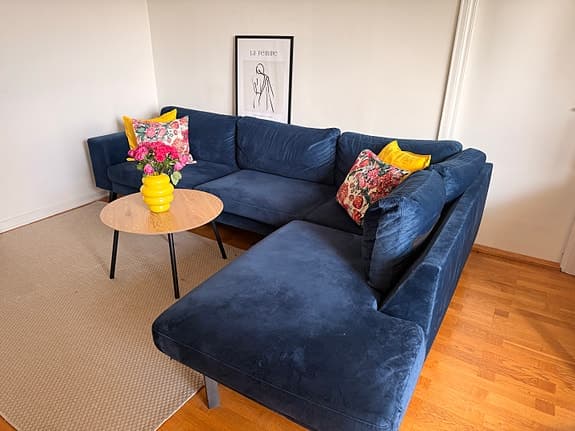 L sofa 291x 201