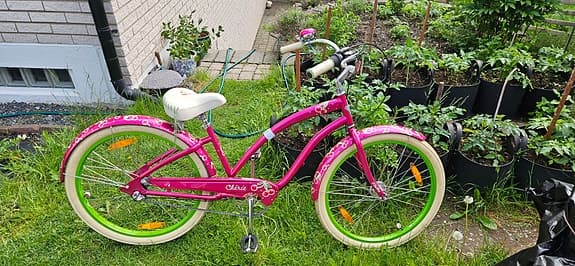 Damcykel