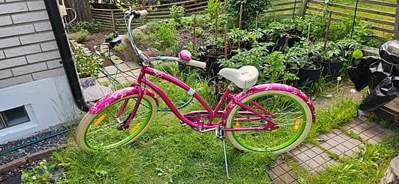 Damcykel