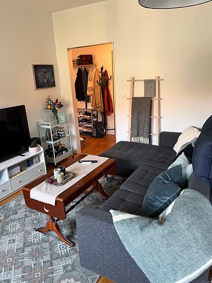 IKEA grå Landskrona Soffa