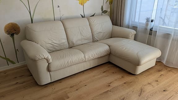 Skinnsoffa med divan